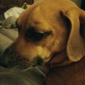 Meet your Posher, Suzanne